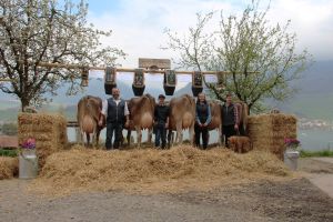 Sepp Kunz Belinda 77